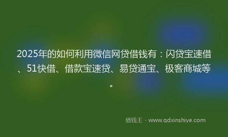 2025年的如何利用微信网贷借钱有：闪贷宝速借、51快借、借款宝速贷、易贷通宝、极客商城等。