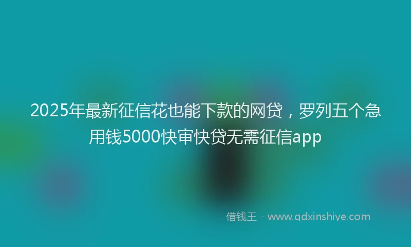 2025年最新征信花也能下款的网贷，罗列五个急用钱5000快审快贷无需征信app