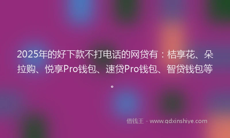 2025年的好下款不打电话的网贷有：桔享花、朵拉购、悦享Pro钱包、速贷Pro钱包、智贷钱包等。