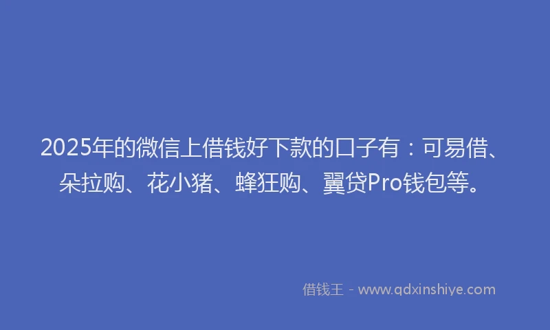 2025年的微信上借钱好下款的口子有：可易借、朵拉购、花小猪、蜂狂购、翼贷Pro钱包等。
