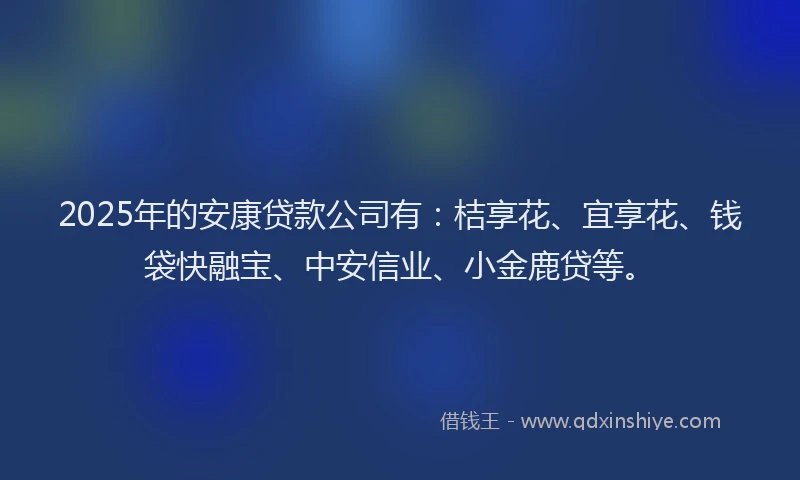 2025年的安康贷款公司有：桔享花、宜享花、钱袋快融宝、中安信业、小金鹿贷等。