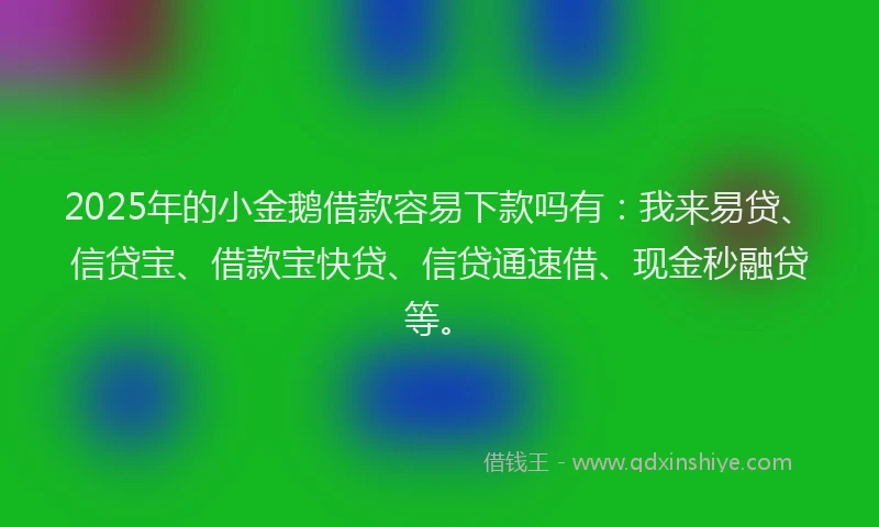 2025年的小金鹅借款容易下款吗有：我来易贷、信贷宝、借款宝快贷、信贷通速借、现金秒融贷等。