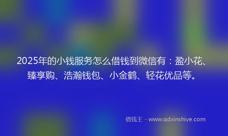 2025年的小钱服务怎么借钱到微信有：盈小花、臻享购、浩瀚钱包、小金鹤、轻花优品等。