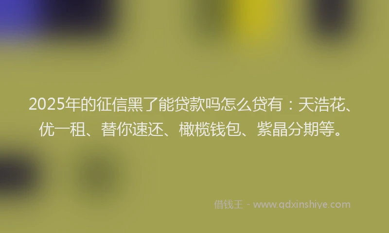 2025年的征信黑了能贷款吗怎么贷有：天浩花、优一租、替你速还、橄榄钱包、紫晶分期等。
