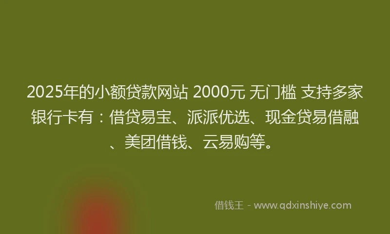 2025年的小额贷款网站 2000元 无门槛 支持多家银行卡有：借贷易宝、派派优选、现金贷易借融、美团借钱、云易购等。