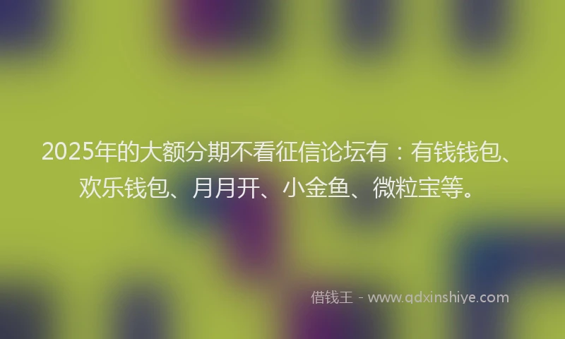 2025年的大额分期不看征信论坛有：有钱钱包、欢乐钱包、月月开、小金鱼、微粒宝等。