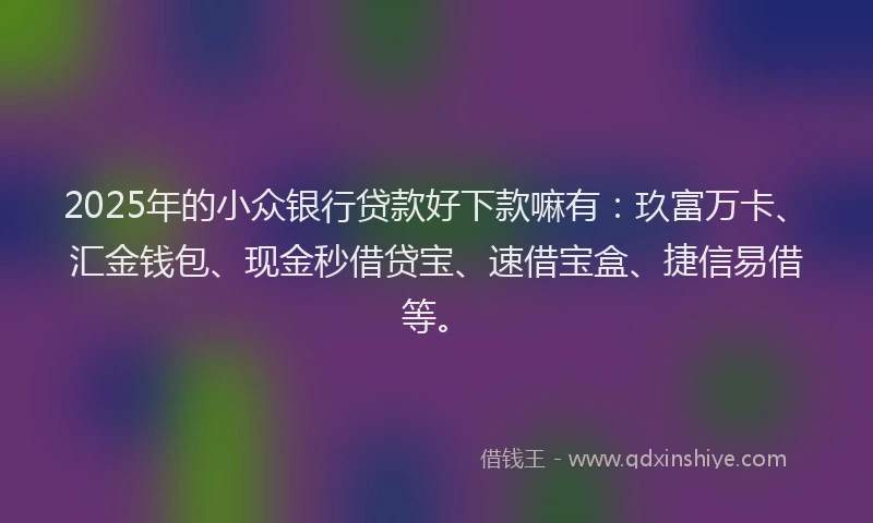 2025年的小众银行贷款好下款嘛有：玖富万卡、汇金钱包、现金秒借贷宝、速借宝盒、捷信易借等。