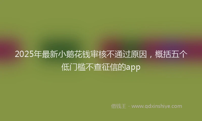 2025年最新小鹅花钱审核不通过原因，概括五个低门槛不查征信的app