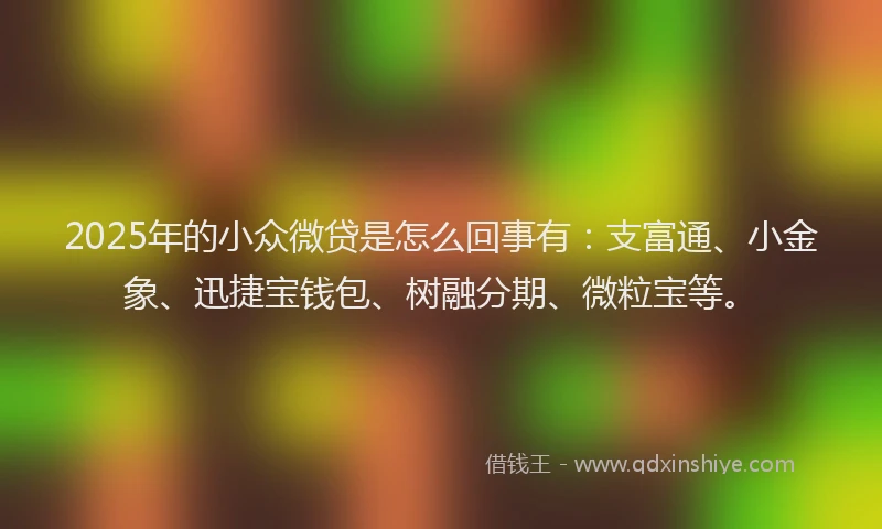 2025年的小众微贷是怎么回事有：支富通、小金象、迅捷宝钱包、树融分期、微粒宝等。