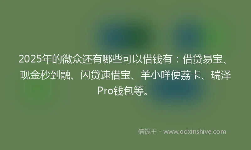 2025年的微众还有哪些可以借钱有：借贷易宝、现金秒到融、闪贷速借宝、羊小咩便荔卡、瑞泽Pro钱包等。
