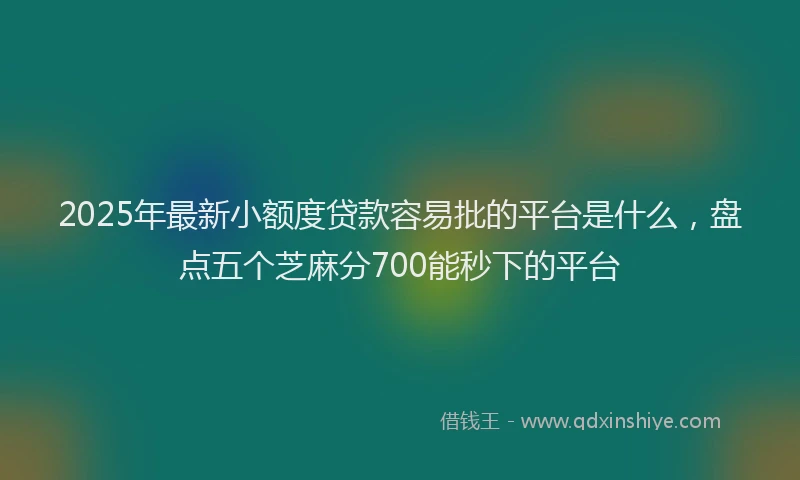 2025年最新小额度贷款容易批的平台是什么，盘点五个芝麻分700能秒下的平台