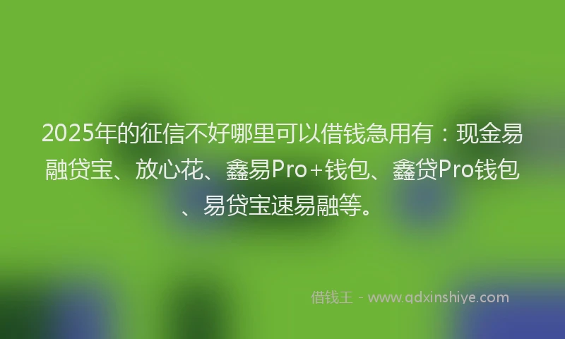 2025年的征信不好哪里可以借钱急用有：现金易融贷宝、放心花、鑫易Pro+钱包、鑫贷Pro钱包、易贷宝速易融等。