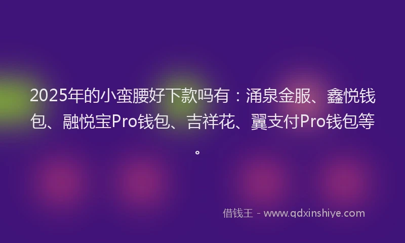 2025年的小蛮腰好下款吗有：涌泉金服、鑫悦钱包、融悦宝Pro钱包、吉祥花、翼支付Pro钱包等。