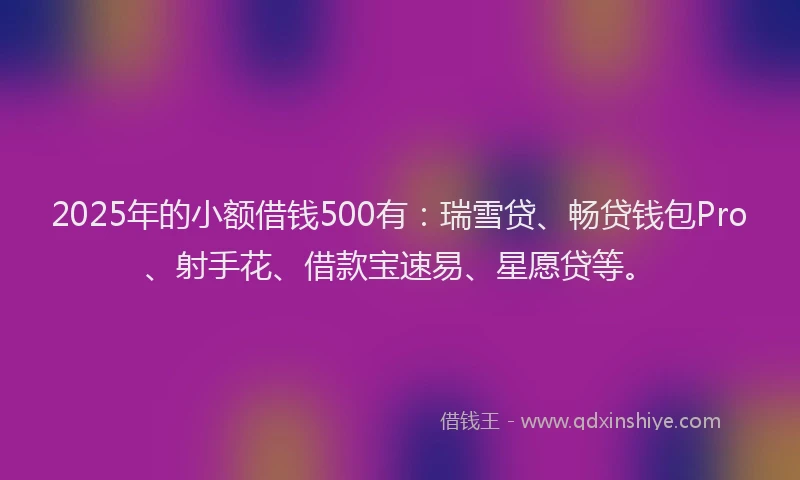 2025年的小额借钱500有：瑞雪贷、畅贷钱包Pro、射手花、借款宝速易、星愿贷等。