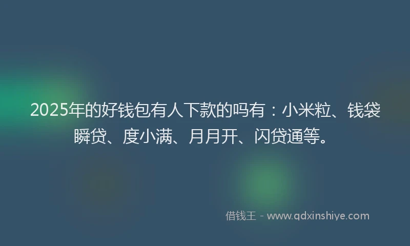 2025年的好钱包有人下款的吗有：小米粒、钱袋瞬贷、度小满、月月开、闪贷通等。