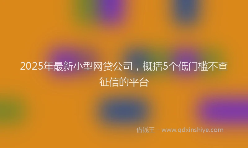2025年最新小型网贷公司，概括5个低门槛不查征信的平台