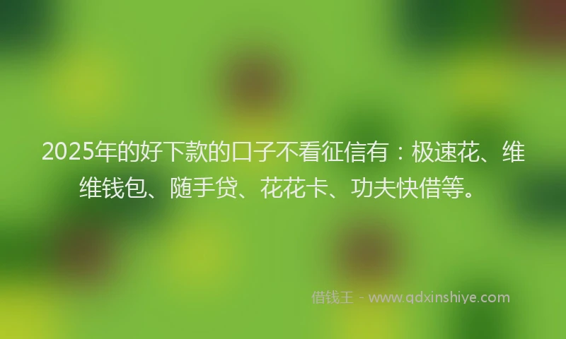 2025年的好下款的口子不看征信有：极速花、维维钱包、随手贷、花花卡、功夫快借等。