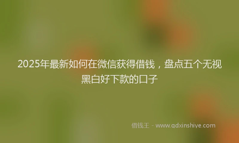 2025年最新如何在微信获得借钱，盘点五个无视黑白好下款的口子