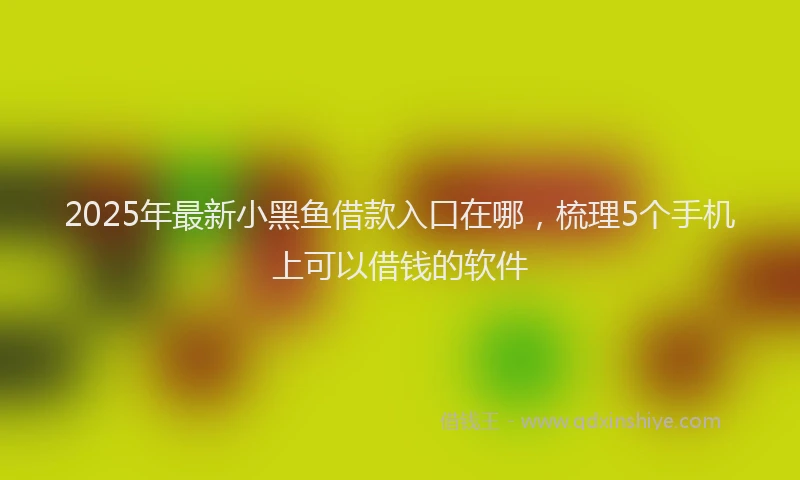 2025年最新小黑鱼借款入口在哪，梳理5个手机上可以借钱的软件