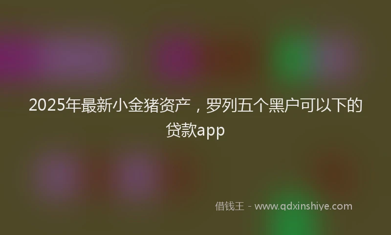 2025年最新小金猪资产，罗列五个黑户可以下的贷款app