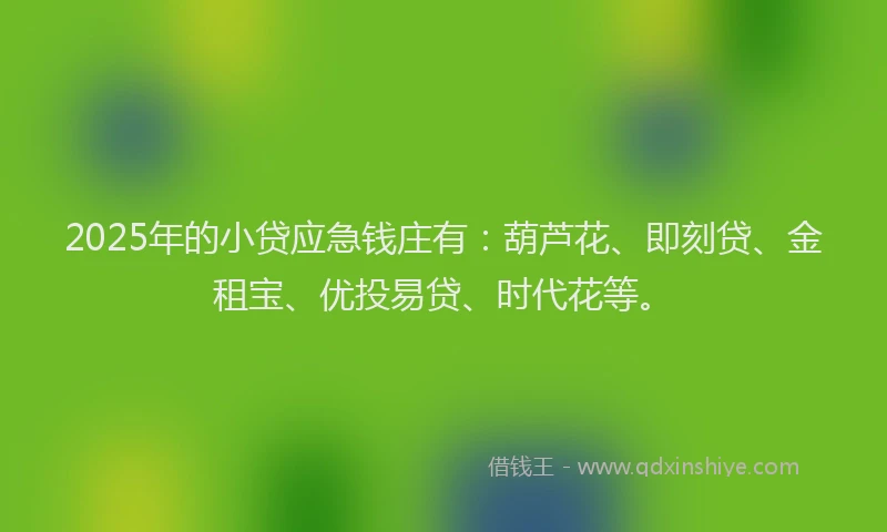 2025年的小贷应急钱庄有：葫芦花、即刻贷、金租宝、优投易贷、时代花等。