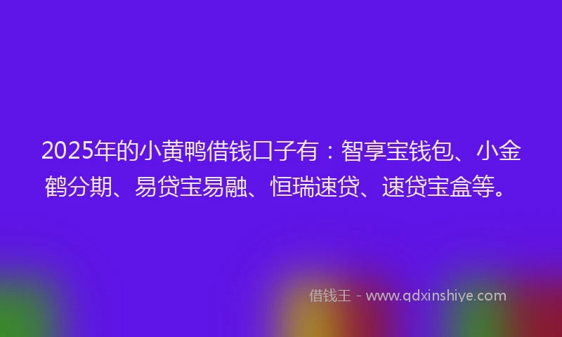 2025年的小黄鸭借钱口子有：智享宝钱包、小金鹤分期、易贷宝易融、恒瑞速贷、速贷宝盒等。