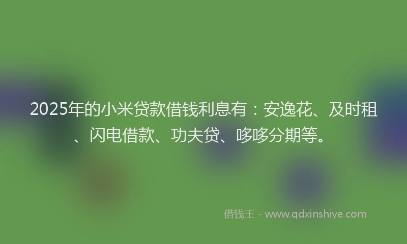 2025年的小米贷款借钱利息有：安逸花、及时租、闪电借款、功夫贷、哆哆分期等。