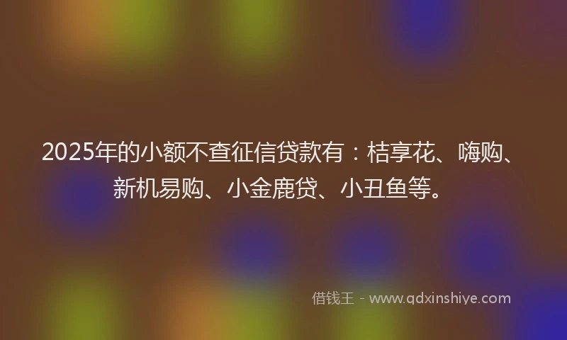 2025年的小额不查征信贷款有：桔享花、嗨购、新机易购、小金鹿贷、小丑鱼等。