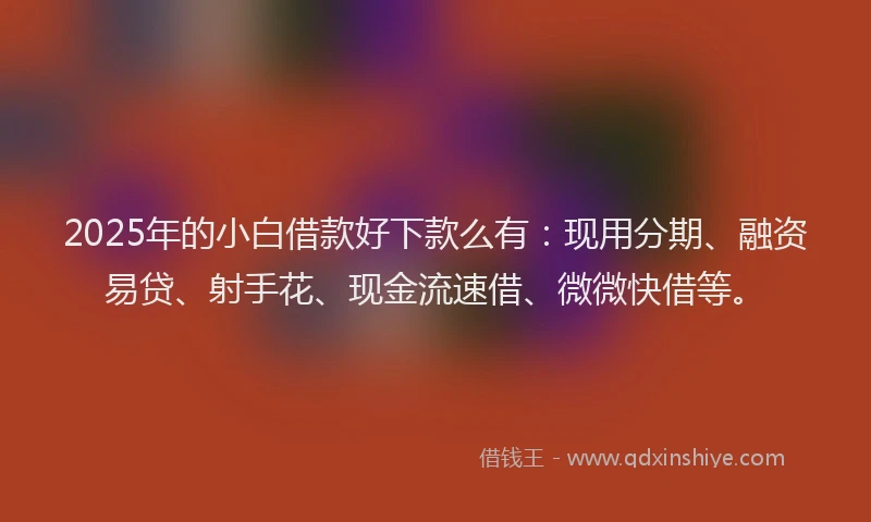 2025年的小白借款好下款么有：现用分期、融资易贷、射手花、现金流速借、微微快借等。