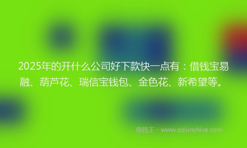 2025年的开什么公司好下款快一点有：借钱宝易融、葫芦花、瑞信宝钱包、金色花、新希望等。