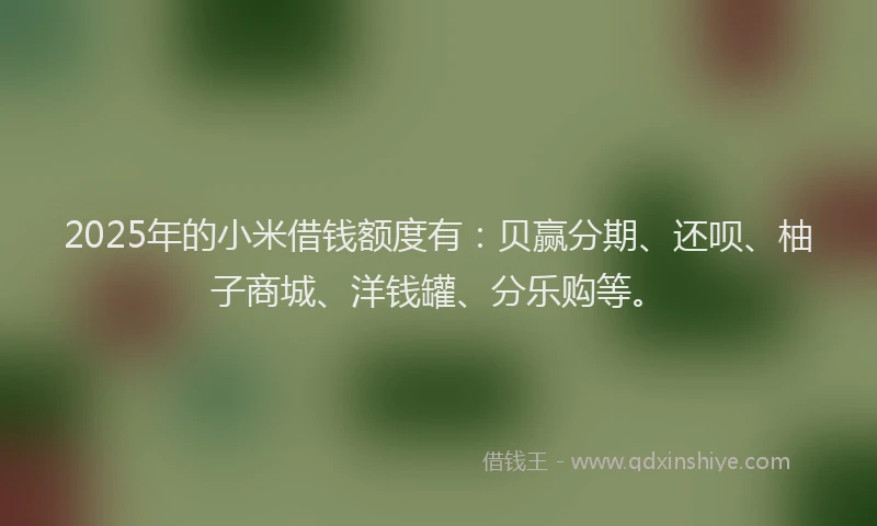 2025年的小米借钱额度有：贝赢分期、还呗、柚子商城、洋钱罐、分乐购等。