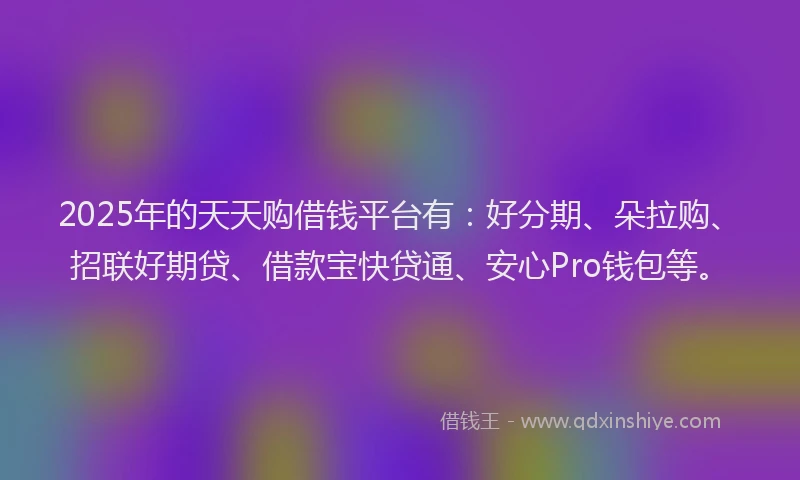 2025年的天天购借钱平台有：好分期、朵拉购、招联好期贷、借款宝快贷通、安心Pro钱包等。