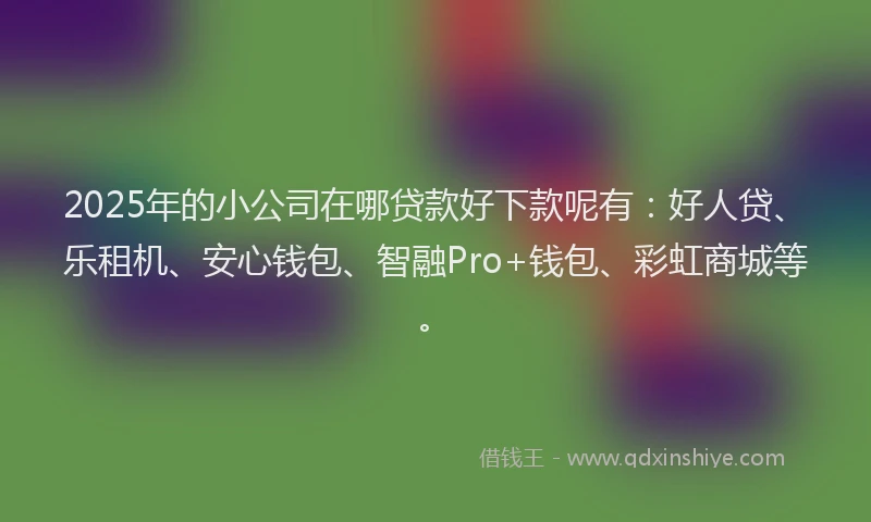 2025年的小公司在哪贷款好下款呢有：好人贷、乐租机、安心钱包、智融Pro+钱包、彩虹商城等。