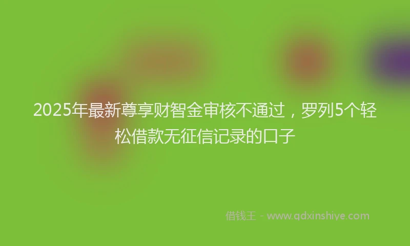 2025年最新尊享财智金审核不通过，罗列5个轻松借款无征信记录的口子