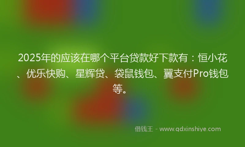 2025年的应该在哪个平台贷款好下款有：恒小花、优乐快购、星辉贷、袋鼠钱包、翼支付Pro钱包等。
