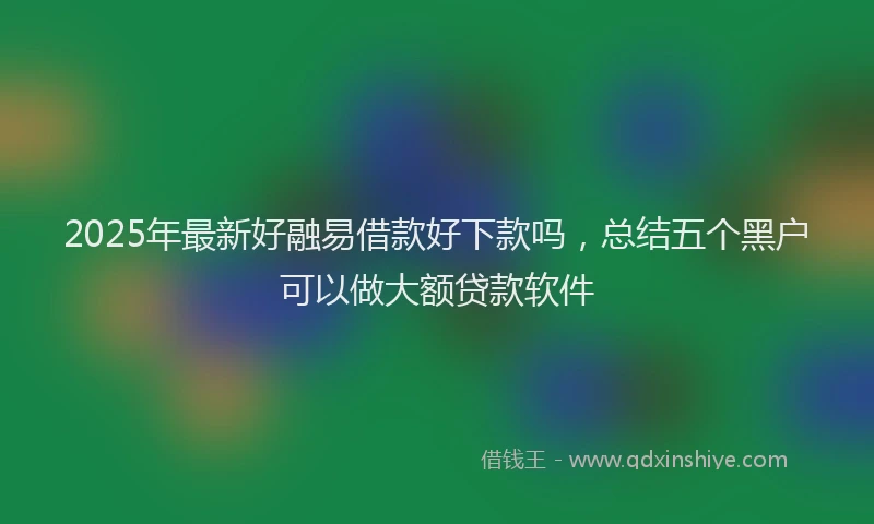 2025年最新好融易借款好下款吗，总结五个黑户可以做大额贷款软件