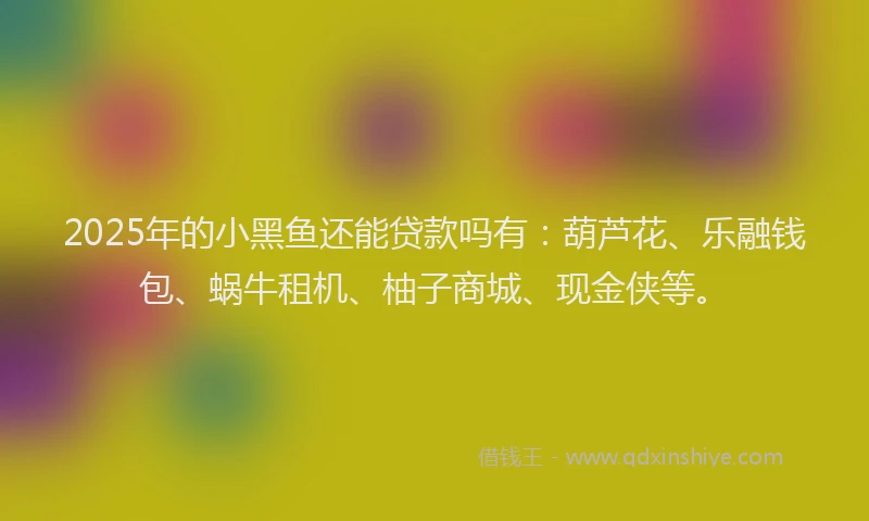 2025年的小黑鱼还能贷款吗有：葫芦花、乐融钱包、蜗牛租机、柚子商城、现金侠等。