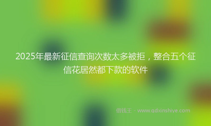 2025年最新征信查询次数太多被拒，整合五个征信花居然都下款的软件
