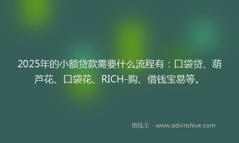 2025年的小额贷款需要什么流程有：口袋贷、葫芦花、口袋花、RICH-购、借钱宝易等。