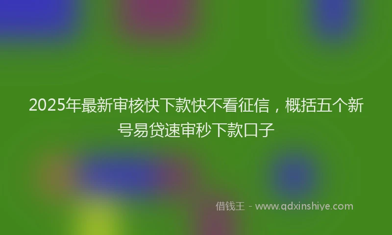 2025年最新审核快下款快不看征信，概括五个新号易贷速审秒下款口子