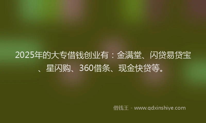 2025年的大专借钱创业有：金满堂、闪贷易贷宝、星闪购、360借条、现金快贷等。