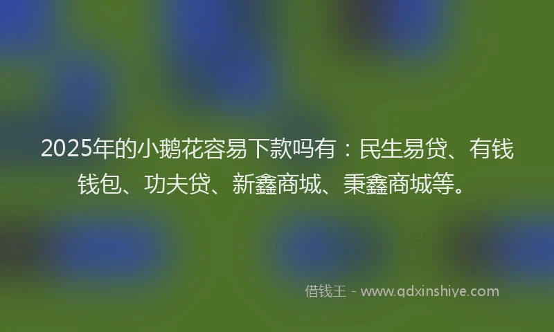 2025年的小鹅花容易下款吗有：民生易贷、有钱钱包、功夫贷、新鑫商城、秉鑫商城等。