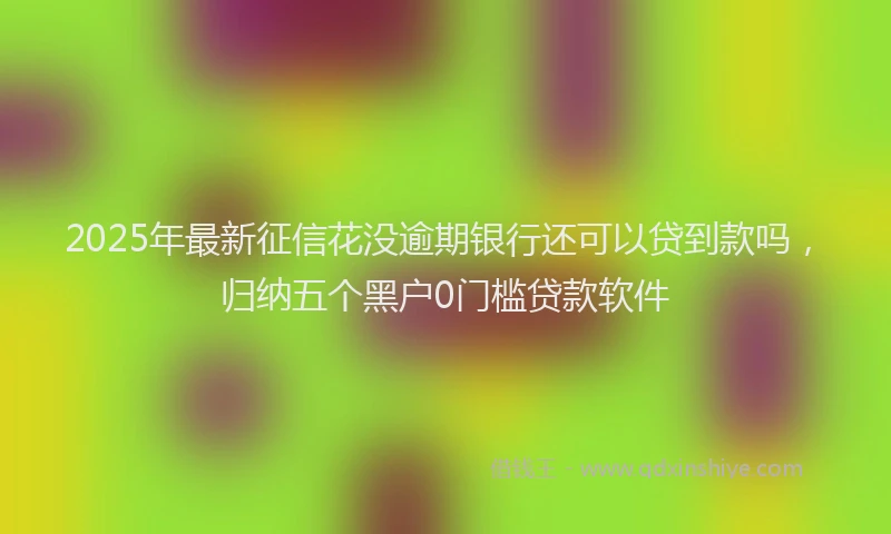 2025年最新征信花没逾期银行还可以贷到款吗，归纳五个黑户0门槛贷款软件