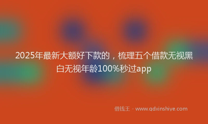 2025年最新大额好下款的，梳理五个借款无视黑白无视年龄100%秒过app