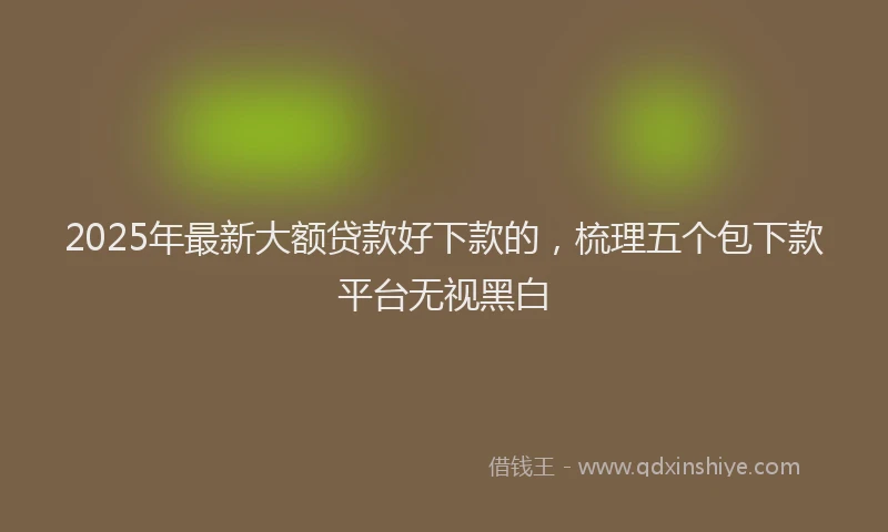 2025年最新大额贷款好下款的，梳理五个包下款平台无视黑白