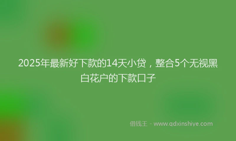 2025年最新好下款的14天小贷，整合5个无视黑白花户的下款口子