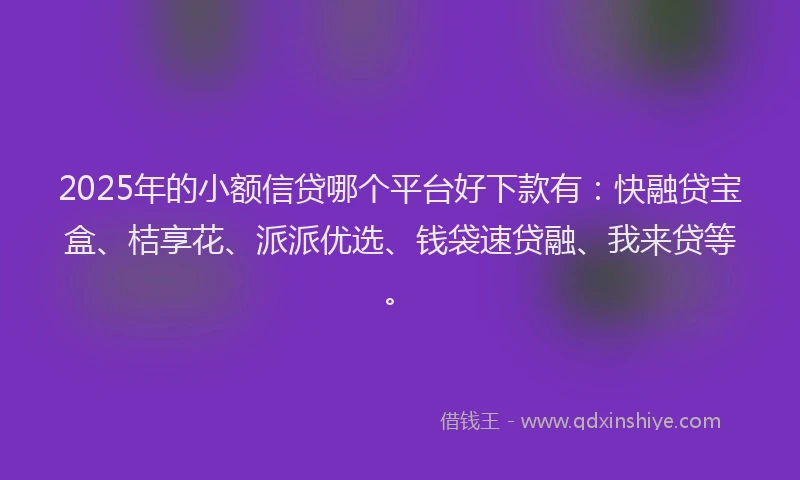 2025年的小额信贷哪个平台好下款有：快融贷宝盒、桔享花、派派优选、钱袋速贷融、我来贷等。