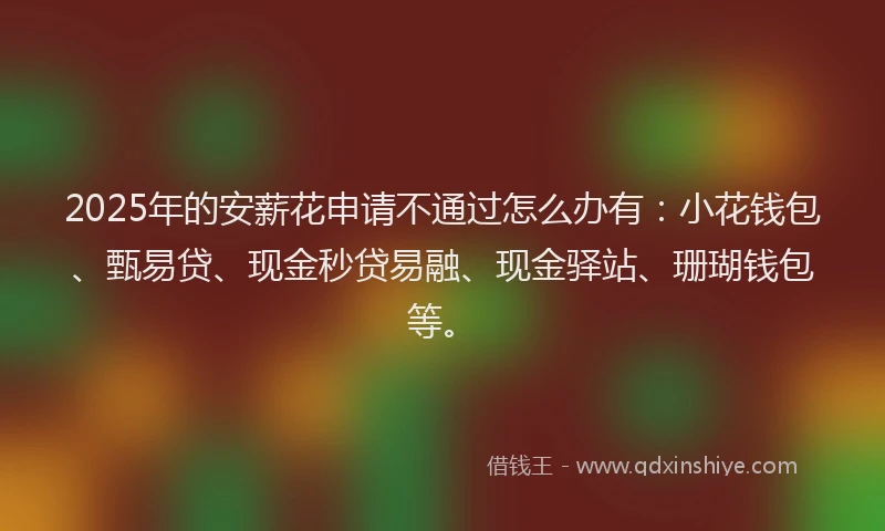 2025年的安薪花申请不通过怎么办有：小花钱包、甄易贷、现金秒贷易融、现金驿站、珊瑚钱包等。