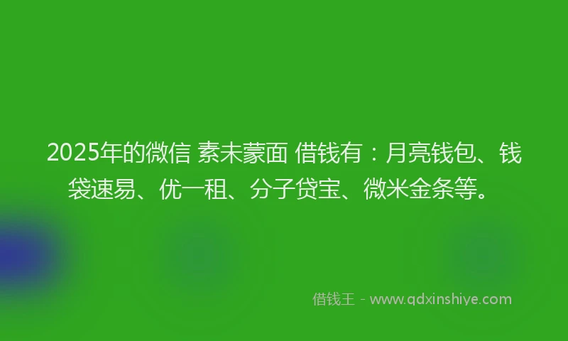 2025年的微信 素未蒙面 借钱有：月亮钱包、钱袋速易、优一租、分子贷宝、微米金条等。