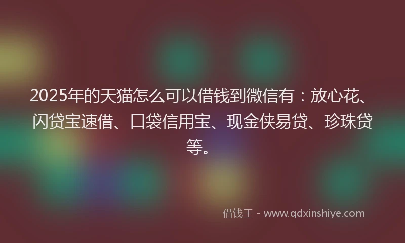 2025年的天猫怎么可以借钱到微信有：放心花、闪贷宝速借、口袋信用宝、现金侠易贷、珍珠贷等。